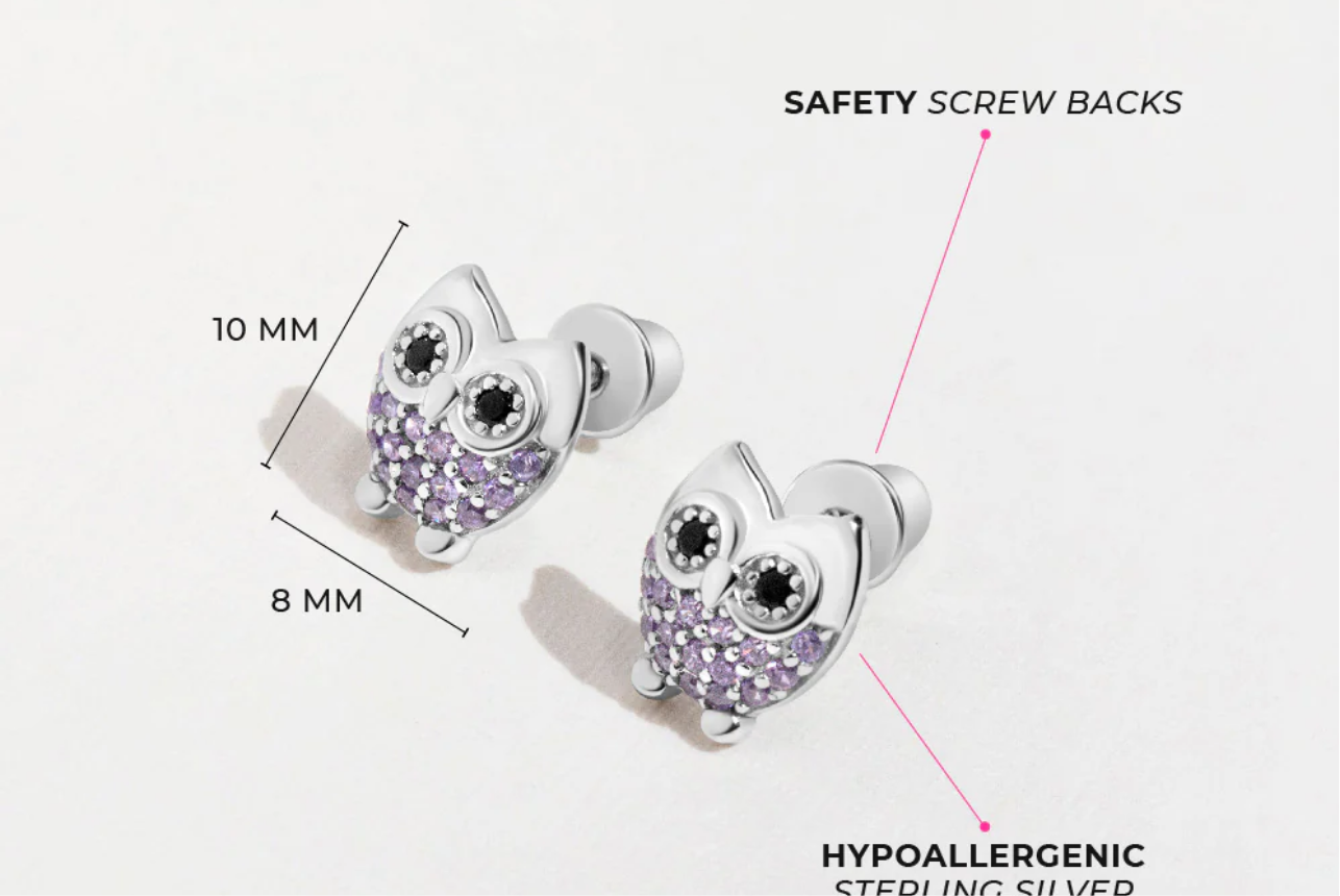 Silver Earrings Owl